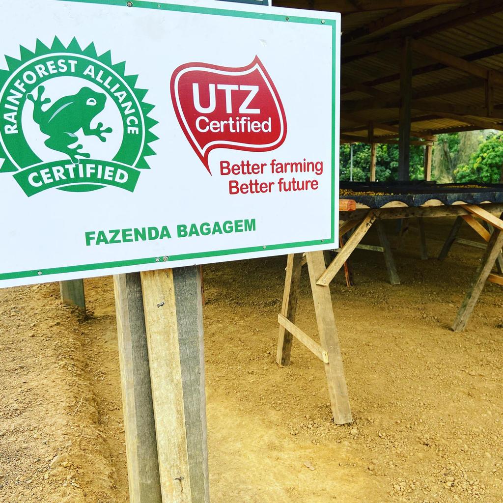Brazil Fazenda Bagagem Farm