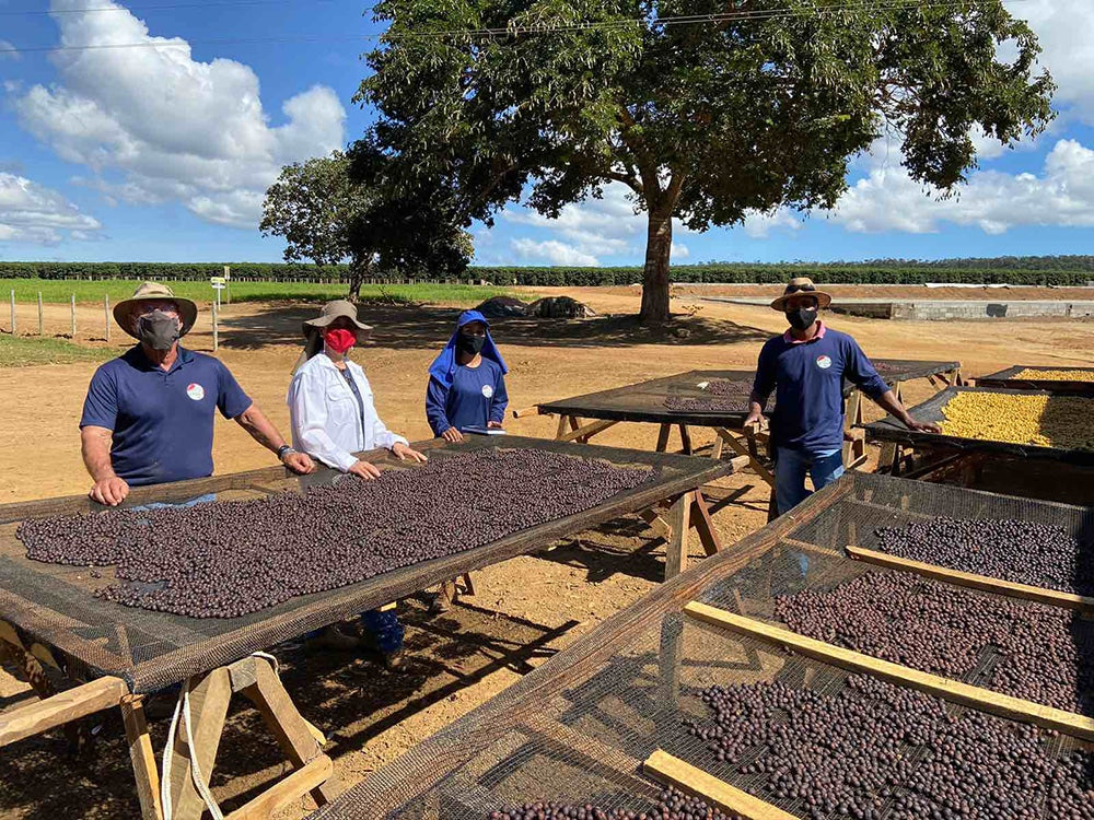 Brazil Fazenda Bagagem Farm