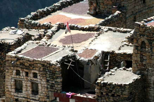Yemen Al Hayma