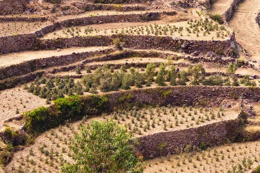 Yemen Al Hayma