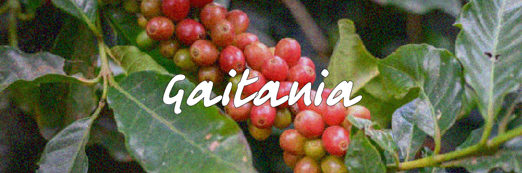 Gaitania (Colombia)