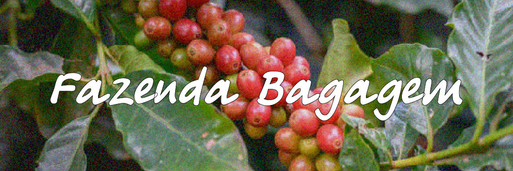 Fazenda Bagagem (Brazil)