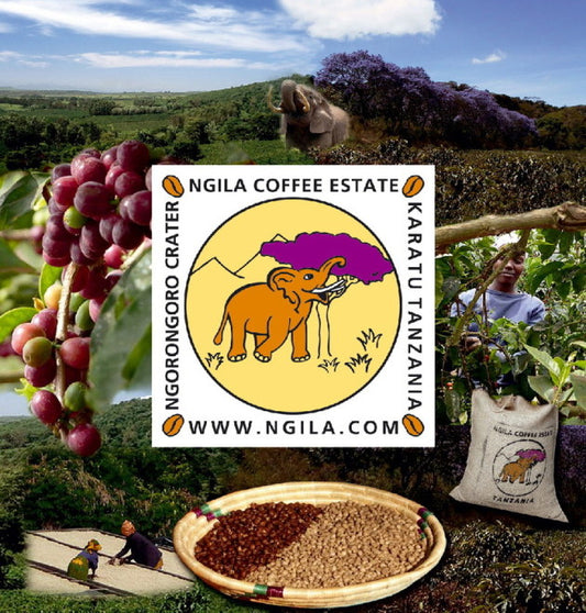 Tanzania Ngila Estate