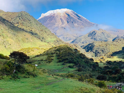 Colombia Gaitania Farm