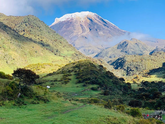 Colombia Gaitania Farm