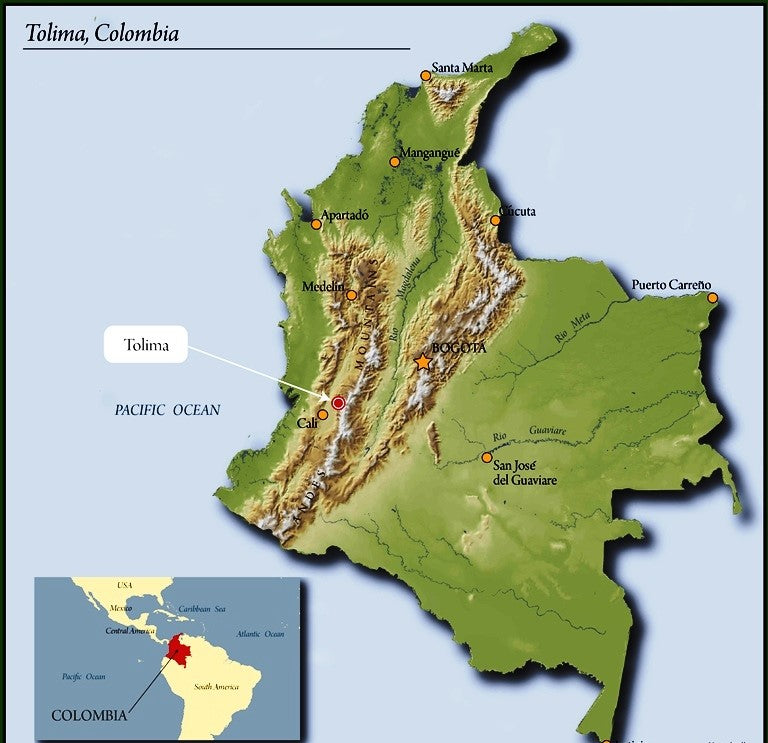 Colombia Gaitania Farm